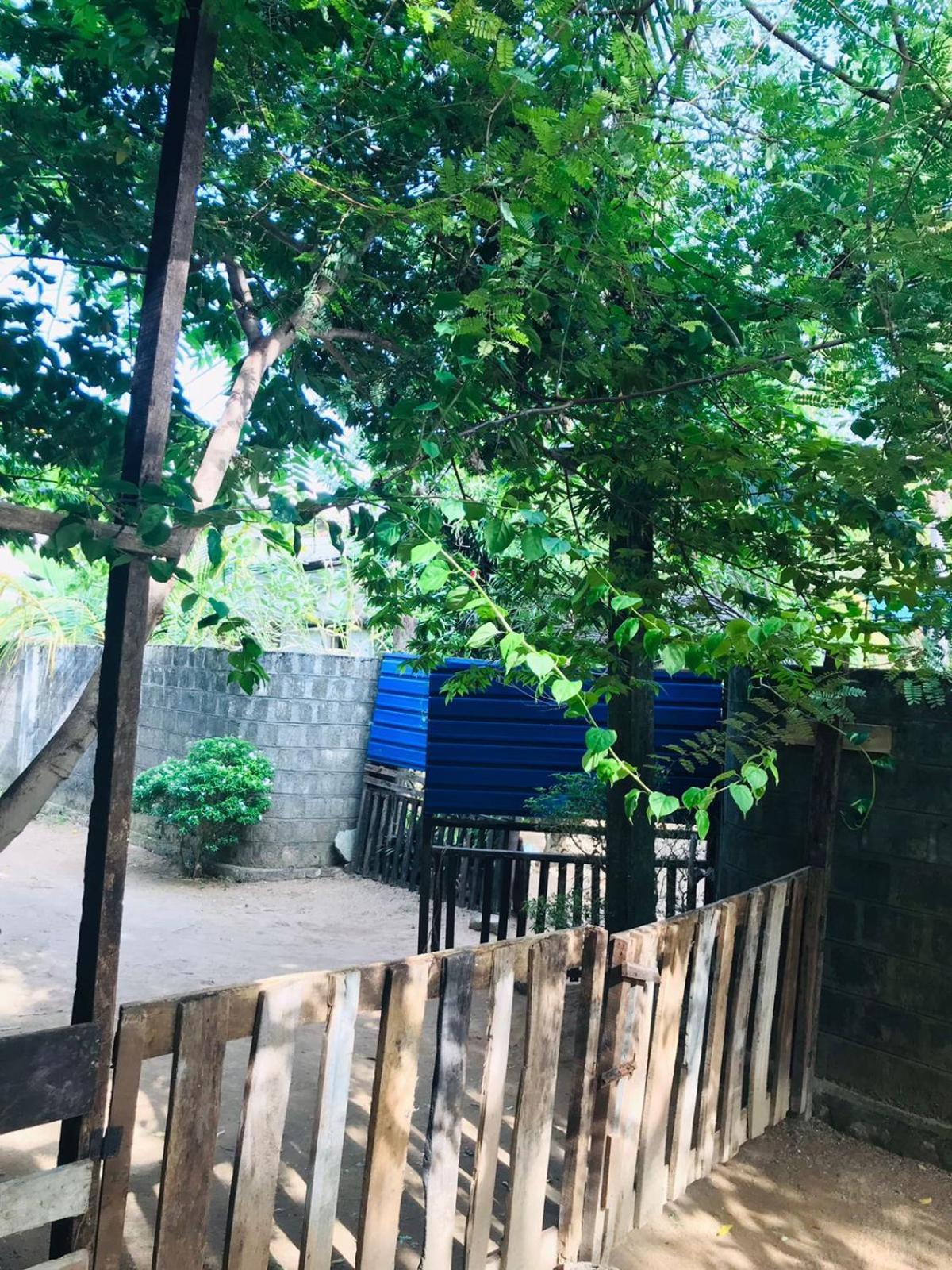 Walkers Hostel Trincomalee Exterior foto